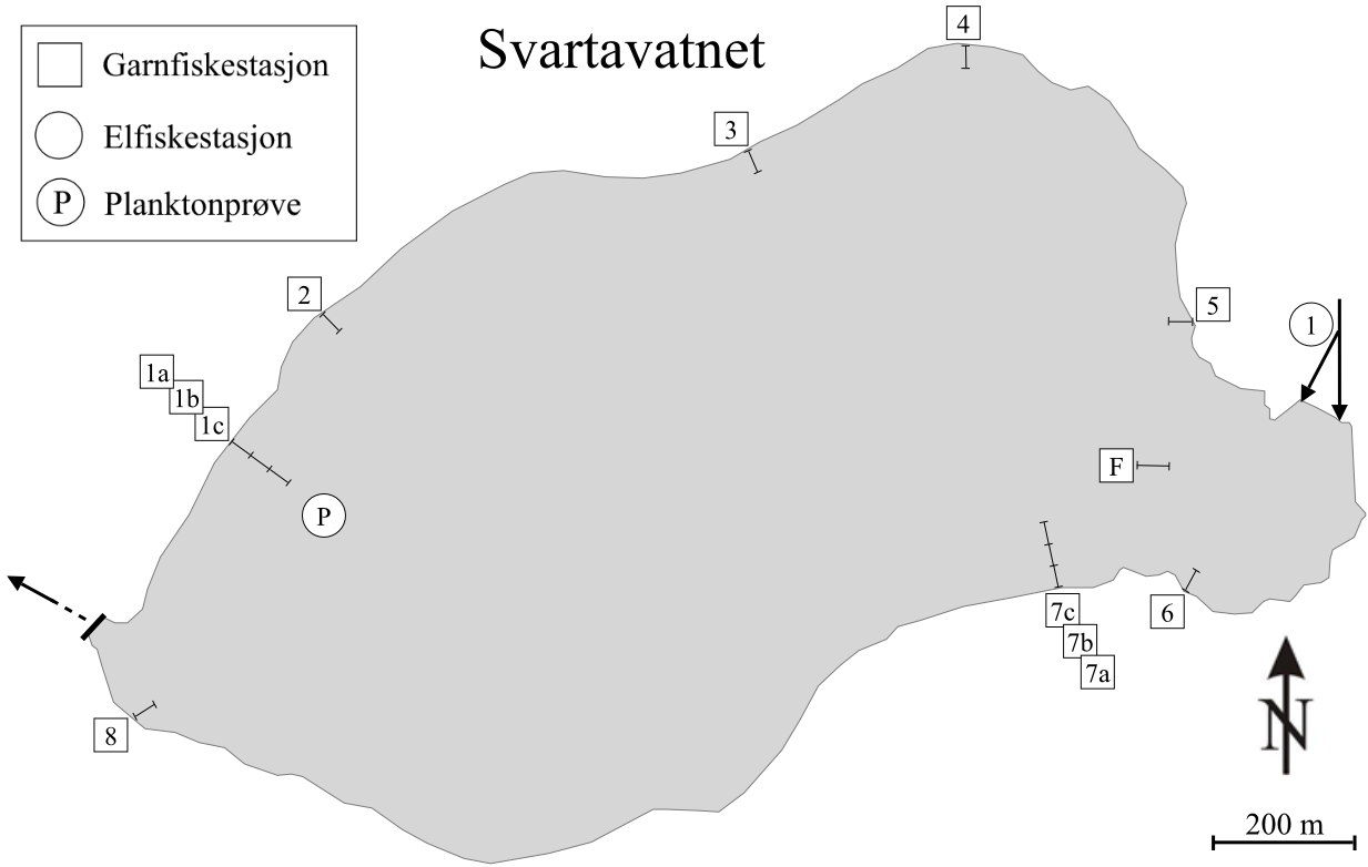 Figur 4. Vannstand i Svartavatnet i perioden 22. juni 2011 til 31. juli 2014. Forventet oppvandrings- og gyteperiode for ørret (15. september til 25. oktober) er markert med oransje.
