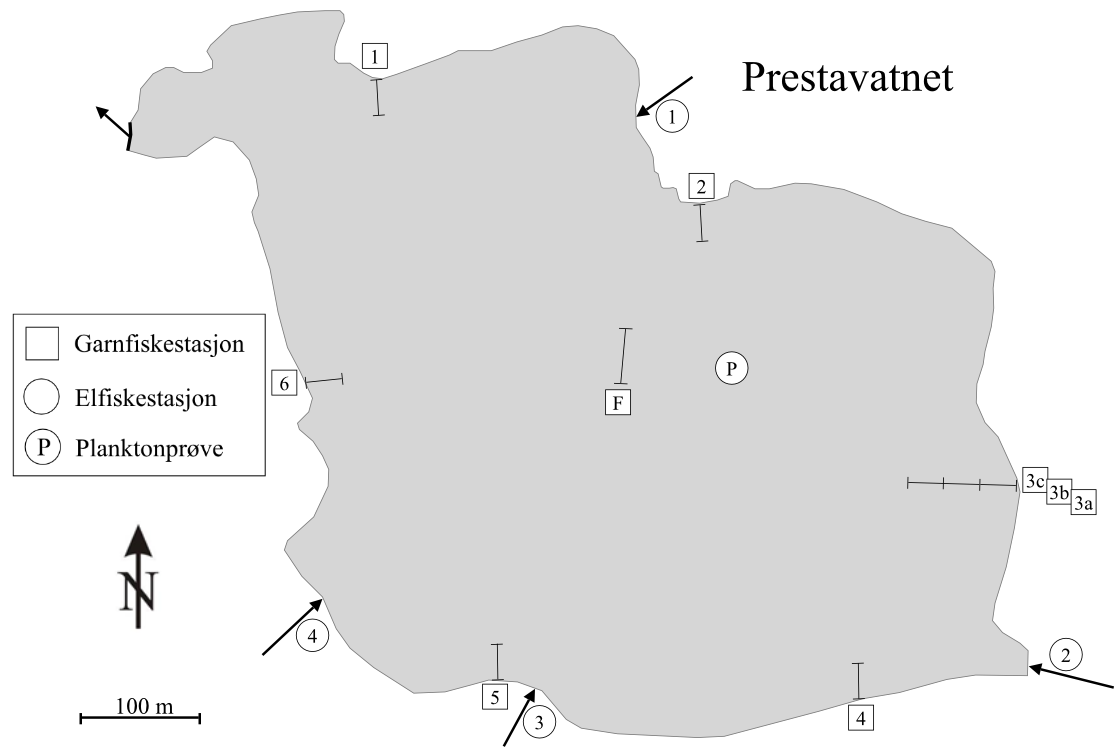 Figur 29. Vannstand i Prestavatnet i perioden 22. juni 2011 til 31. juli 2014. Forventet oppvandringsog gyteperiode for ørret (15. september til 25. oktober) er markert med oransje.