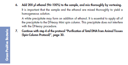 Vedlegg Vedlegg I - DNeasy Blood and Tissue kit DNA-prøvene fra ristekolbeforsøk 1 ble isolert med DNeasy