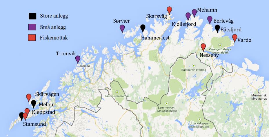 Verdikjeden til Norway Seafoods; et nettverk Kystflåten Mottak Prosessering Lager