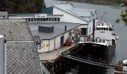 Verdikjeden til Norway Seafoods; et nettverk Leverandører Mottak (6) Prosessering (9) Lager ferdigvare Grossist/ kunde Butikk Kystflåten