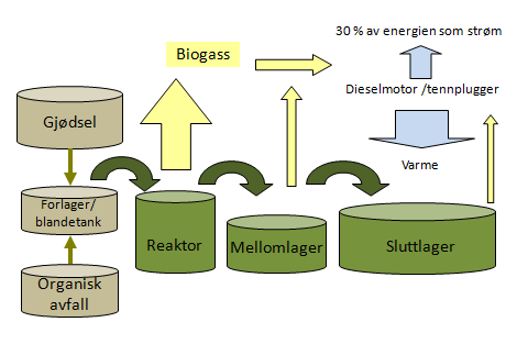 Figur 1. Skjematisk fremstilling av Mære biogassanlegg, slik det er planlagt.