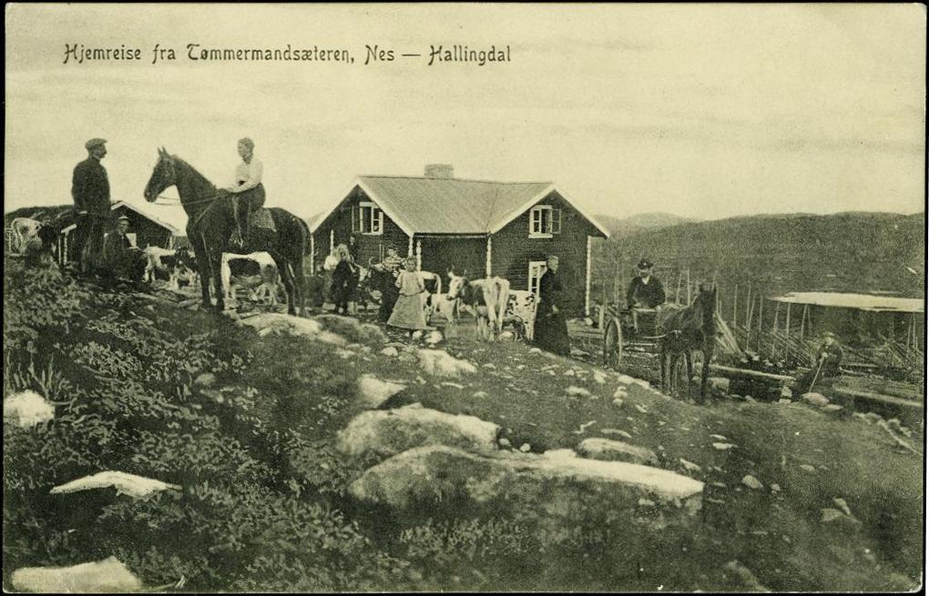 fjellet etter en lang og forhåpentligvis fin sommer.