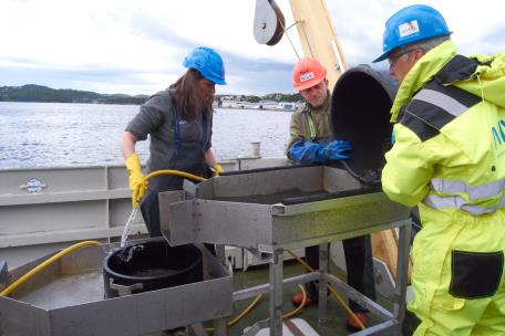 Økologisk tilstand i bløtbunnsfauna Marvika Kristiansand Foto: Solvår Reiten, Fylkesmannen Vest-Agder Hanneviksbukta Lyngøy Vesterhavn Fiskåbukta Dybingen Flekkholmskjær Fra NIVA-rapport 6540