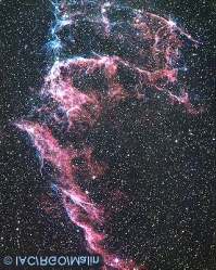 NGC 7000 Nord-Amerikatåken er en svært spesiell sky av lysende gass. Navnet har den fått fordi den ligner på omrisset av Nord-Amerika slik dette bildet tatt av Reinhard Ilk, Østerrike viser.