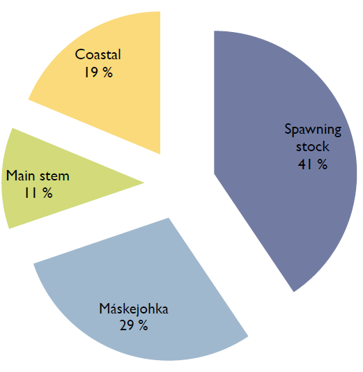 Fangstfordeling i 2010: Máskejohkalaks Kyst 19 % 1283 kg Beregnet innsig: 6750kg Total beskatning 59 % Bærekraftig beskatning: 36