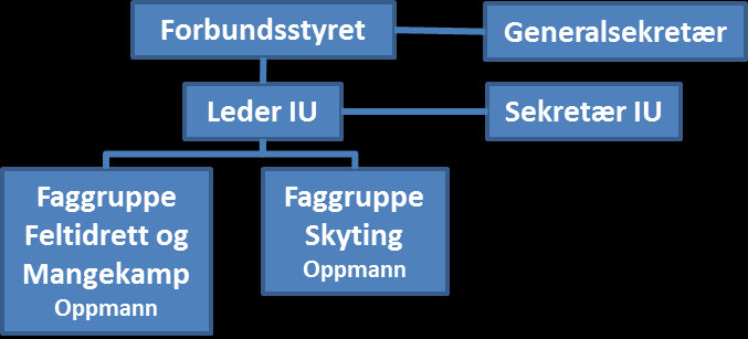 tidene har Norge og NROF markert seg meget positivt på ulike idrettsarenaer.