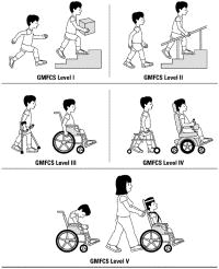 2.5. Klassifikasjoner og kartleggingsinstrumenter 2.5.1 Gross Motor Function Classification System Extended and Revised Gross Motor Function Classification System Extended and Revised (GMFCS E&R)