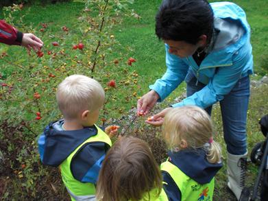 barnehager, 1 Formål «For å sikre samarbeidet med barnas hjem, skal hver barnehage ha et foreldreråd og et samarbeidsutvalg» Lov om barnehager, 4 Foreldreråd og samarbeidsutvalg For Askøybarnehagene