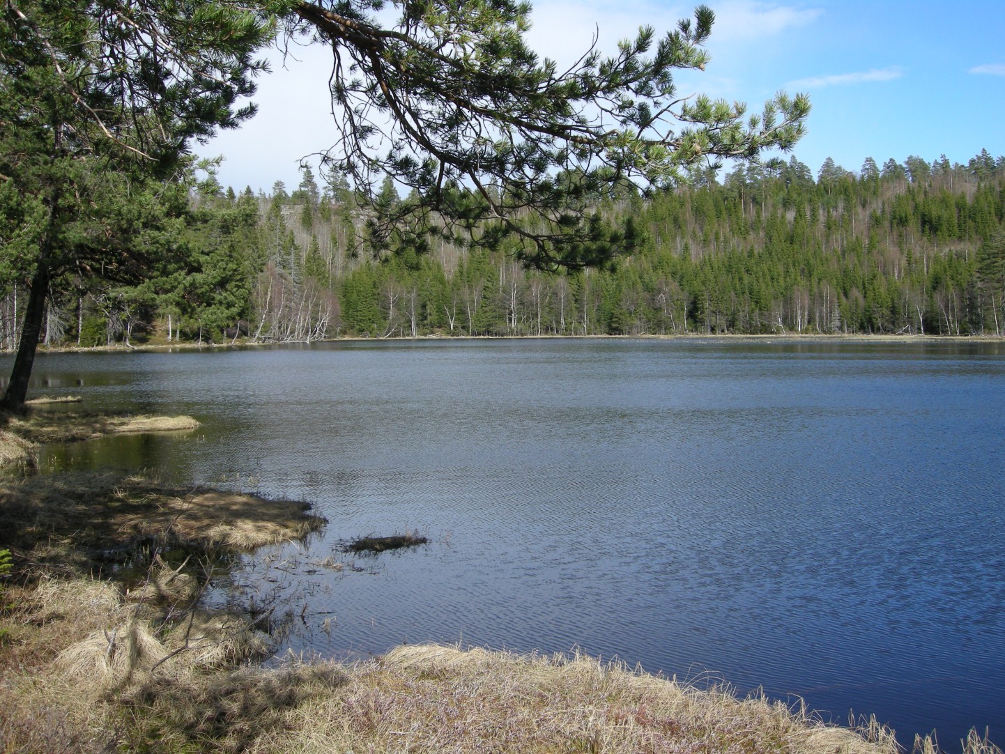 Høyde over havet: 272m Fiskeslag: Ørret Fiskemetoder: Flue, mark og spinner Adkomst: Adkomst er enklest opp fra bilveien mellom Heigård og Bølevann i Kodal.