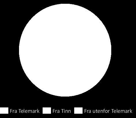 Når hytteeiere utenfra kommunen bruker penger i Tinn kommune i stedet for å handle der de bor gir det økte inntekter og arbeidsplasser i Tinn.