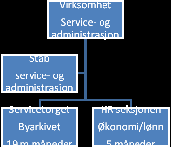 D-IKT (ikt-servicefag) D-ikt er underlagt et styre bestående av rådmann eller dens representant fra 5 driftskmmuner g et arbeidsutvalg hvr alle kmmunene er representert.