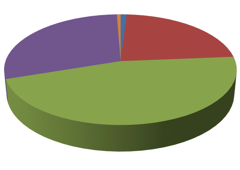 STØNADSMOTTAKERE 2011 - ALDERSSAMMENSETNING Aldersgrupper Stønads- %-vis mottakere fordeling 67 år og over 11 1,0 45-66 262 22,7 25-44 532