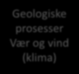 Geologiske prosesser Vær og vind (klima) Berggrunn JORDSMONN Mineralpartikler, organisk materiale (humus), luft, vann