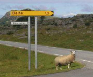 Namning av vegar i Fræna Kommune Mange bustadar i Fræna manglar adresse med vegnamn og husnummer.