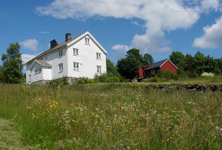 De kommunale bilene brukes hovedsakelig i forbindelse med transport til hjemmehjelpen.