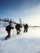 Vinteropplevelser 2012-2013 Alpine trugeopplevelser Nyt de vakre hvite fjellene og landskapet rundt Hallingskarvet nasjonalpark med truger og staver.