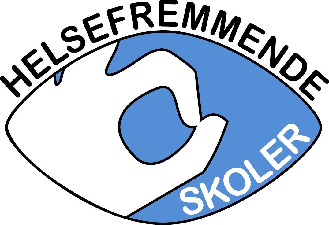 Rapport Helsefremmende skoler Helhetlig og systematisk folkehelsearbeid på videregående skoler i Østfold.