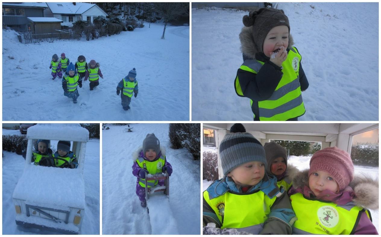 Tema: Turer I januar har vi fokusert på sanseinntrykk i skogen og nærområdet vårt. Vi har stoppet opp mens vi går får å lytte om vi hører noe.