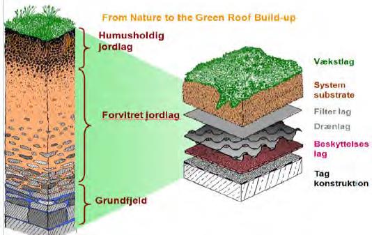 2.9 Grønne tak Grønne tak kan defineres som å være tak på en bygning eller konstruksjon som enten helt eller delvis er dekket med vegetasjon og har et voksende medium plantet over en vanntett membran