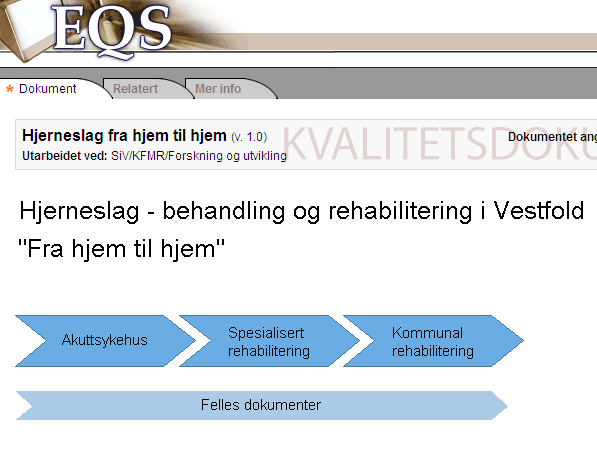 Eksempel på elektronisk løsning Internettside Internettside