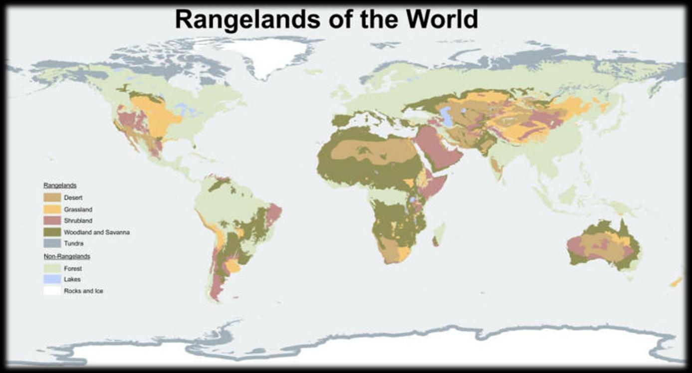 Mer en 50% av verdens tørrmarkområder kan ikke dyrkes og klassifiseres som utmark (Rangeland) For kalde eller varme