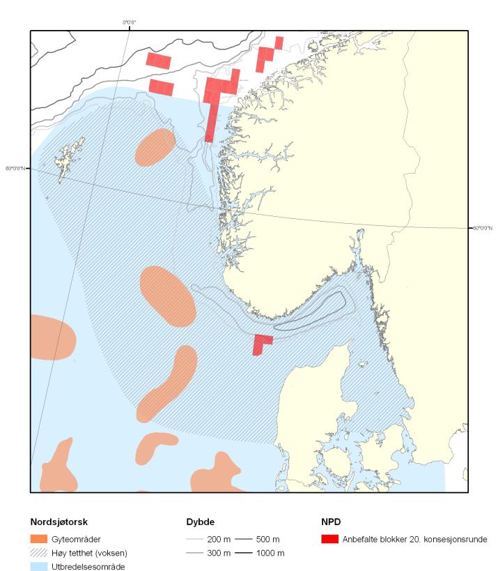 kystområdene på Skagerrakkysten. I 2001, med høy innstrømning av nordsjøvann til Skagerrak, finner man at torskeyngel på kysten består hovedsakelig av torsk med opphav i Nordsjøen (se også Figur 25).