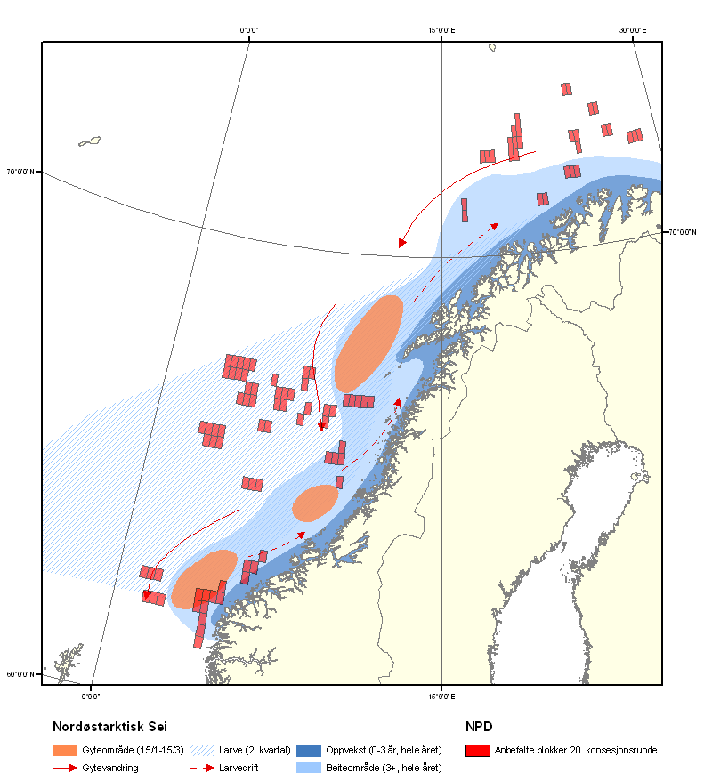 5 Figur 5 Nordøstarktisk sei. Kart som viser viktige områder under ulike livsstadier sammen med blokker som er foreslått åpnet i Barentshavet og Norskehavet i 20. konsesjonsrunde.
