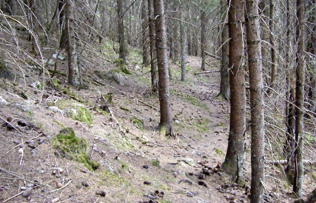 SJEKKPUNKT 9. STEINVOLLSÆTRA Avstand fra Spålsætra: 3,93 km Avstand fra start: 27,26 km Østre Vika av Spålen er et flott sted for turgåere, og her møtte jeg også flere på tur.