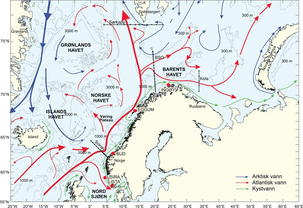 Observasjoner Regelmessige observasjoner fra faste snitt og stasjoner I tillegg kommer