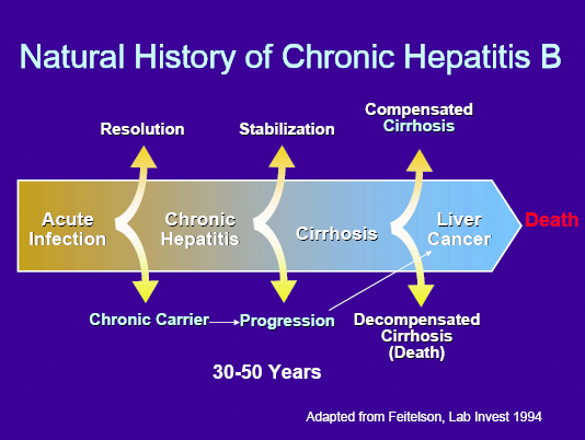 Kronisk HBV naturlig forløp Ubehandlet vil 30% (-40%?