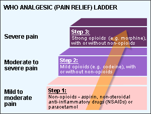 Palliativ smertebehandling Den riktige dosen av analgetika er den dosen som gir smertekontroll uten uholdbare bivirkninger.