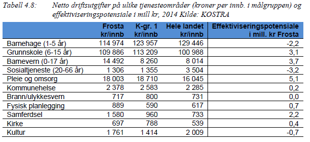 Effektiviseringmuligheter Tjenester.