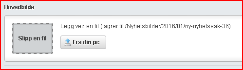 2.8 INNHOLDET I ARTIKKELEN Skriv inn teksten til artikkelen i feltet Innhold. 2.9 KATEGORI Start å skrive inn en kategori for din nyhetssak i feltet Kategori.