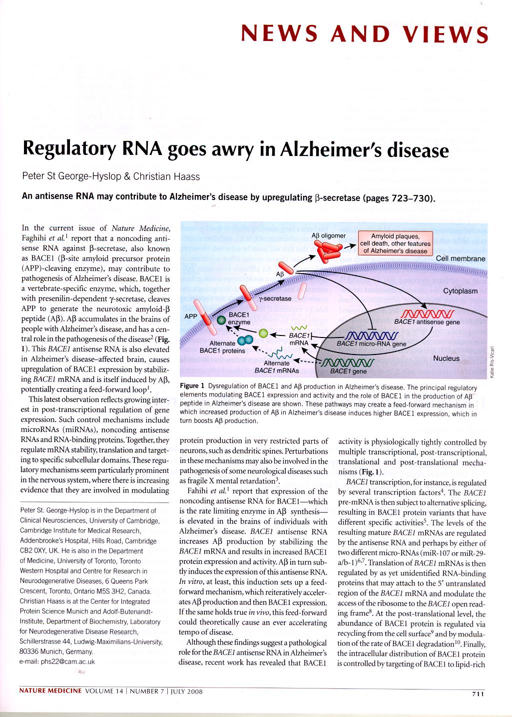 Regulering på RNA-nivå
