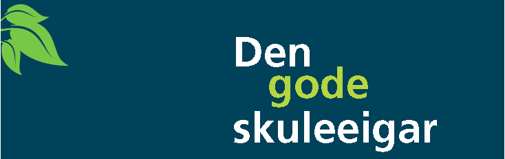 Eit utviklingsprogram for folkevalde- og