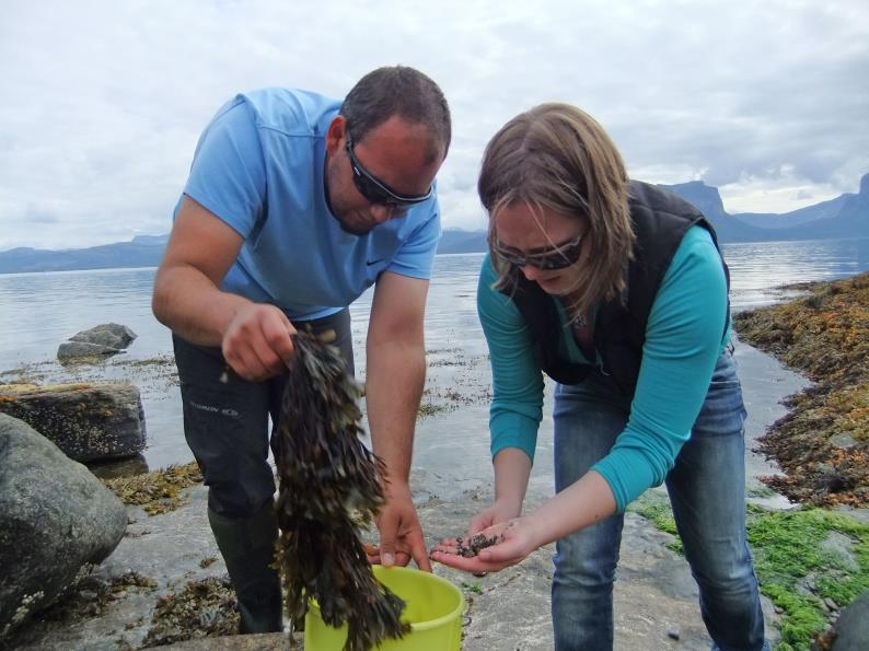 FORSKING FBA sin posisjon 2019: Ekspertise i marin bioøkonomi Dei viktigaste forskingsområda: Akvakultur og marin økologi Bioteknologi relatert til akvatisk matproduksjon.