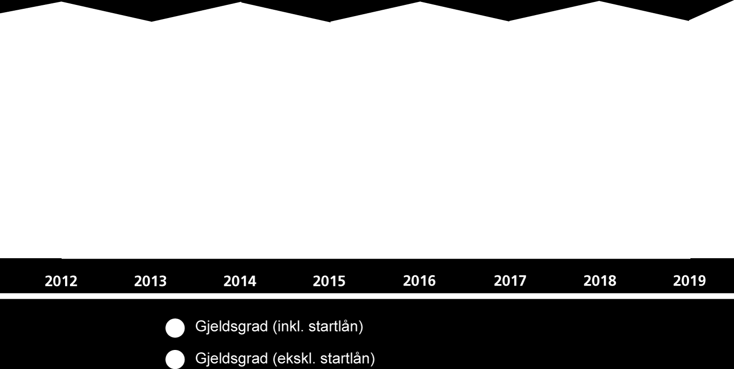 Andel egenfinansiering av