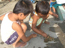 India, Nepal, HongKong, Malaysia, vietnam og til andre steder på Filippinene. Mercy2Asia Academy; er dessverre blitt lagt ned av forskjellige grunner som bla.