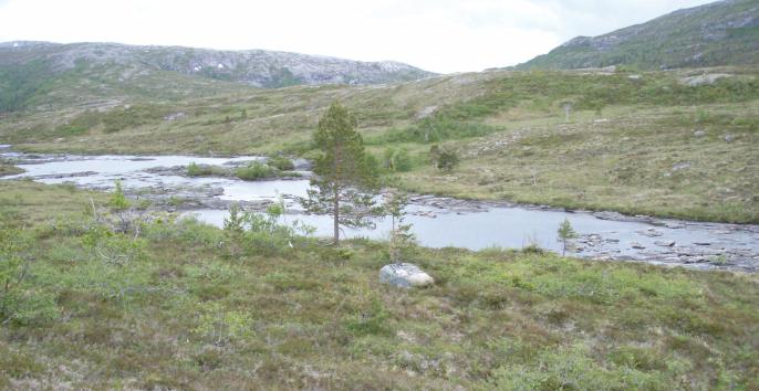 være naturlig å benytte mer i fremtiden hvis flytting over land igjen blir mer vanlig. Som beiteområde vurderes influensområdet for kraftverket å ha middels verdi. 5.6.