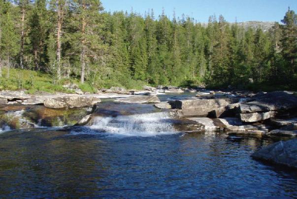 Figur 56 Stillelva med dam i bakgrunnen. Bildet er tatt fra lufta. 5.5.2.3 Terråkelva mellom Hellifoss og utløpet av Nervatnet Også her er vegetasjonstypene og artssammensetningene ganske vanlige.