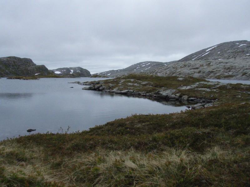 Figur 62 Vegetasjonen i den nordlige enden av Storvatnet indikerer at området ligger i den lavalpine sone. Rundt Storvatnet ble det registrert svært lite fugl.