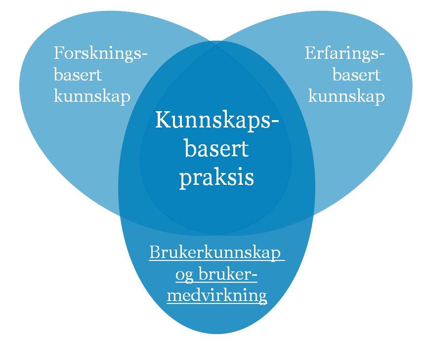 Pasientforløp Praktisk beskrivelse av pasientens behandling i helsetjenesten og de faktiske møter og aktiviteter som inntreffer sett fra pasientens og helsepersonell sitt perspektiv.