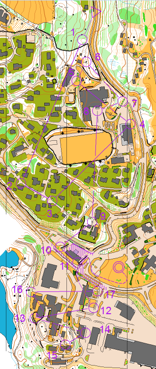 Åpnet gjerde 270m anleggsgjerde. Lot ellers alle gjerder i løpsområdet være forbudt.