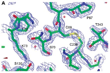 Ambler: Sekvenslikhet Struktur KLASSIFISERING AV β-laktamaser - Molekylær klassifisering Serin-enzymer Metall-enzymer A C D B
