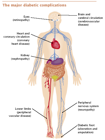 Diagnostiske grenser (mmol/l) Fastende Fastende 2-t. prøve 2-t.