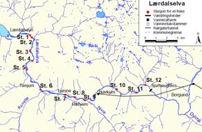 Etter påvisning av G. salaris ble laksen fredet i perioden 1997-2000.