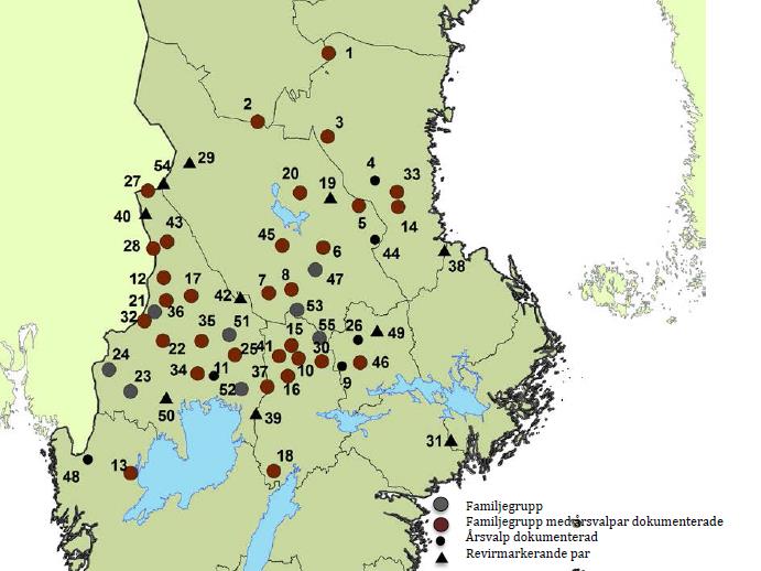 Oppsummering Det kan se ut som om det er en ganske stabil bestand fra 38 ynglinger i Skandinavia i 2012 og 2013, til 39 i 2014.