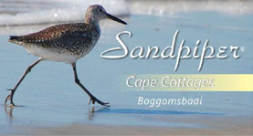 //HER BOR VI Boggomsbai Vårt sjarmerende gjestehus ligger i nærheten i Bouggomsbay. Dette er et lite idyllisk sted i Western Cape langs den populære Garden Route.