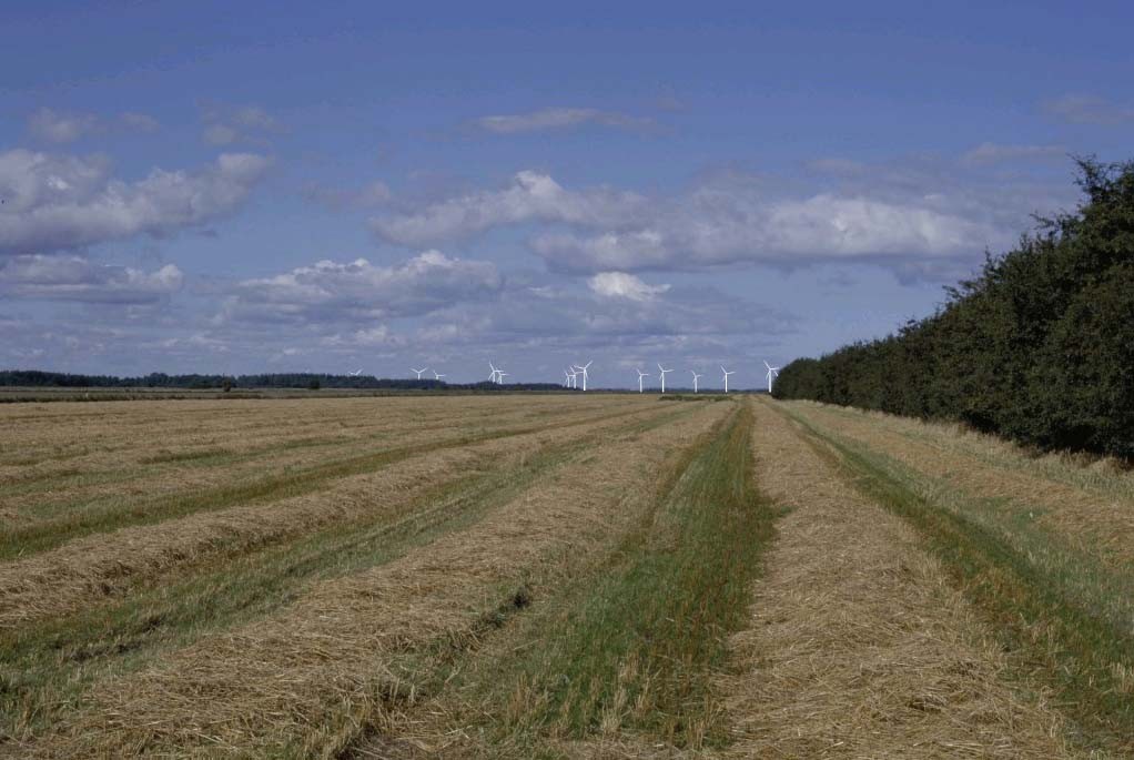 Landskap Det er alltid krav om fotorealistiske fremstillinger. Bilder tas fra kjente standpunkt.